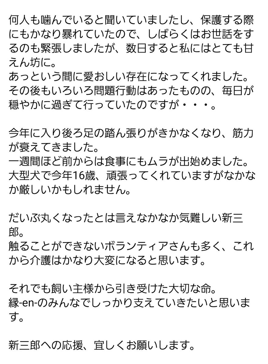 🔷余命宣告された飼い主様から引き取った 新三郎🔷
⭐️お願い⭐️
老犬におすすめフードやサプリや介護用品がありましたら教えてほしいです
また不要な老犬食や飼育用品等お譲りいただけると嬉しいです
詳しくはInstagramのDMにて対応させてください

instagram.com/p/DUWuhplkzbS/…