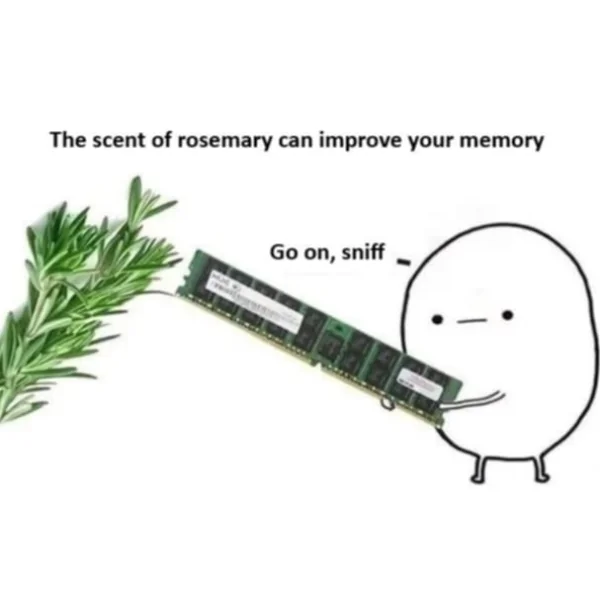 Adarsh_dot_dev's tweet image. "The scent of rosemary increases your memory"

Let me try it on my RAM