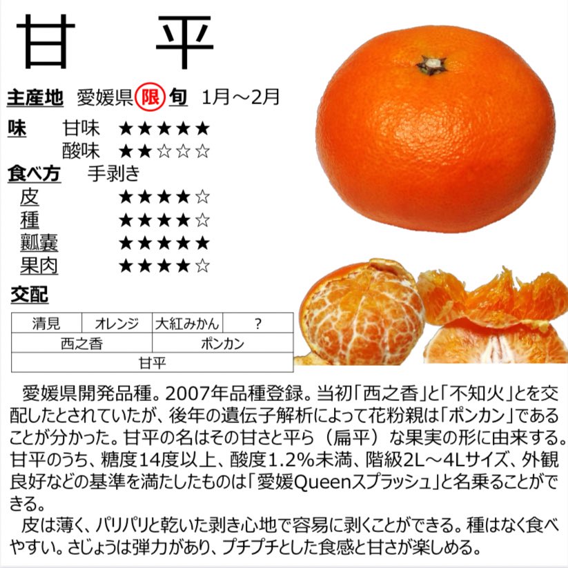 みかんの木 ♪週末セール✮様 みかんノート (@mikanflavor1) / Posts / X