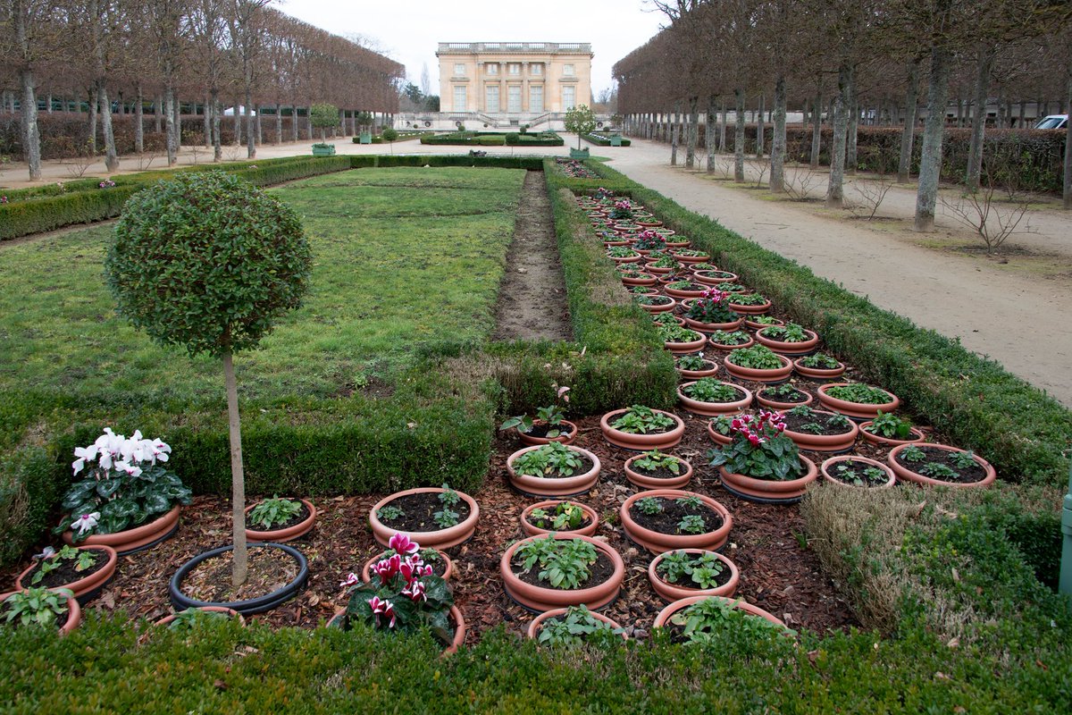 CVersailles's tweet photo. 🇫🇷🌸 En attendant le printemps, les fleurs s’installent dans le jardin du Petit Trianon.

🌍🌸 While waiting for spring, flowers are blooming in the Garden of the Petit Trianon.

 📷 EPV / Didier Saulnier https://t.co/1XwlfAGa3C