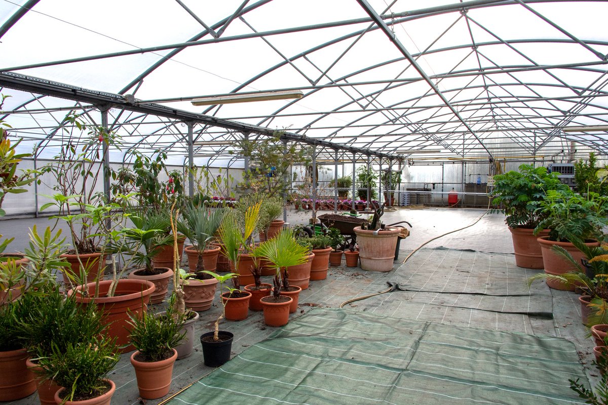 🇫🇷🌸 En attendant le printemps, les fleurs s’installent dans le jardin du Petit Trianon.

🌍🌸 While waiting for spring, flowers are blooming in the Garden of the Petit Trianon.

 📷 EPV / Didier Saulnier