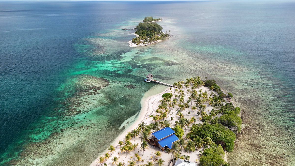 Miradas Viajeras tweet media