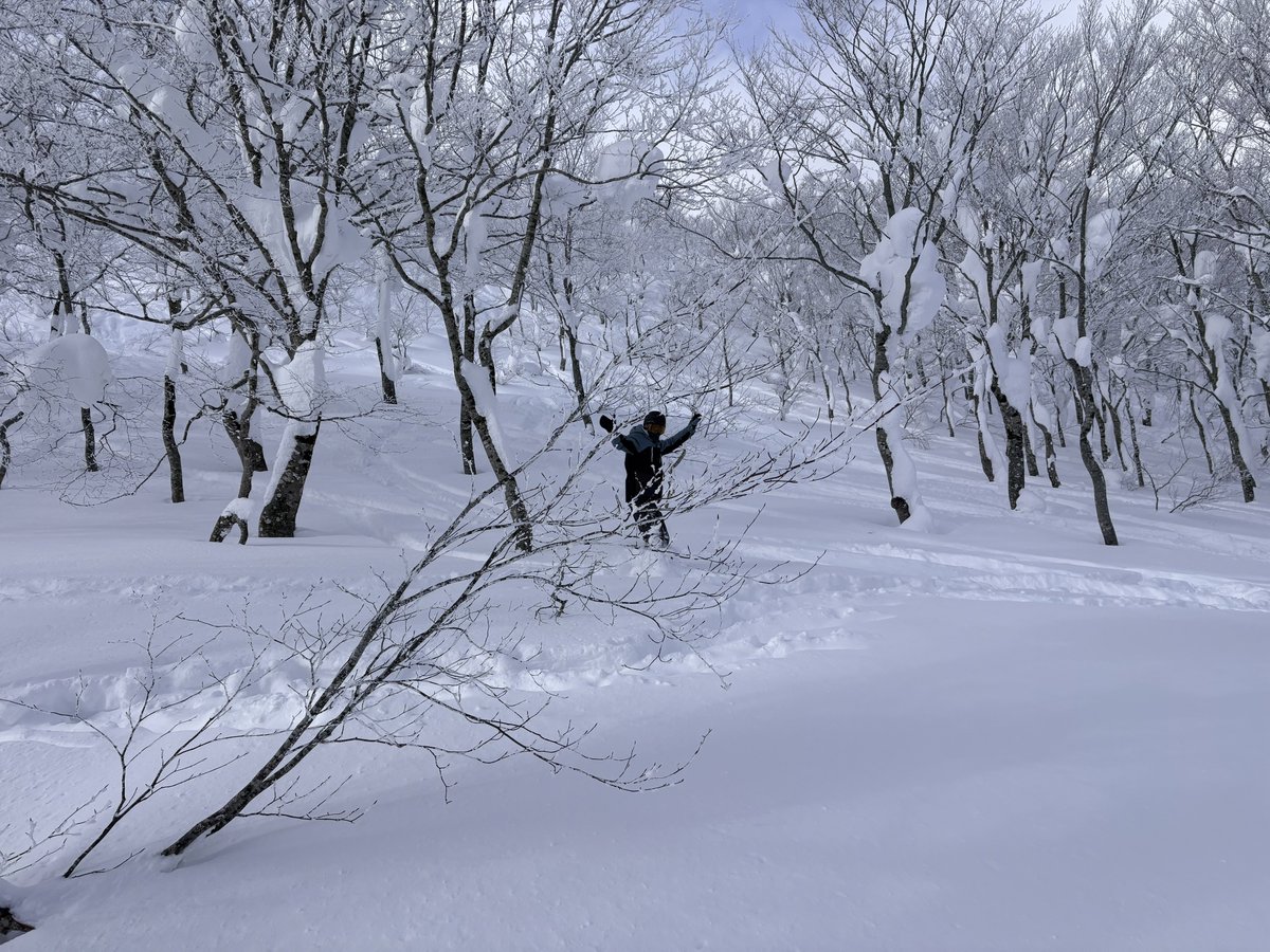 MIG22K's tweet photo. Geto Kogen powder paradise. 先週はツリーラン初めて。最高😃マヂ
Iwate is way too far from Tokyo so even during the weekend you can get JaPOW! 🤩 https://t.co/h5MPt396vQ