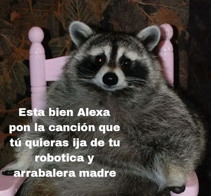 bunuelita's tweet image. Jajaajaj