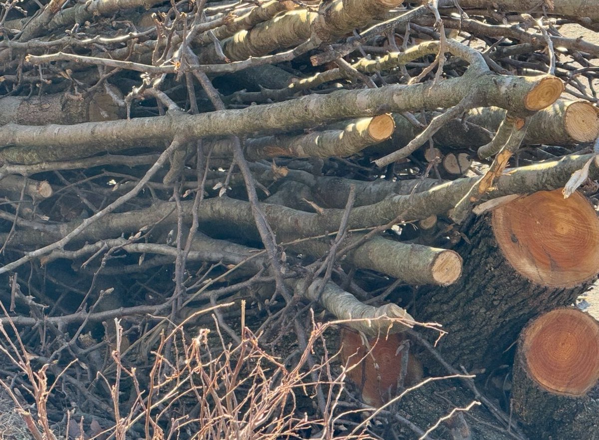 John Eddie tweet media