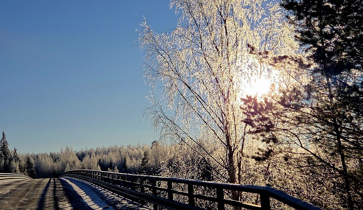 Annamaija Vihavainen tweet media