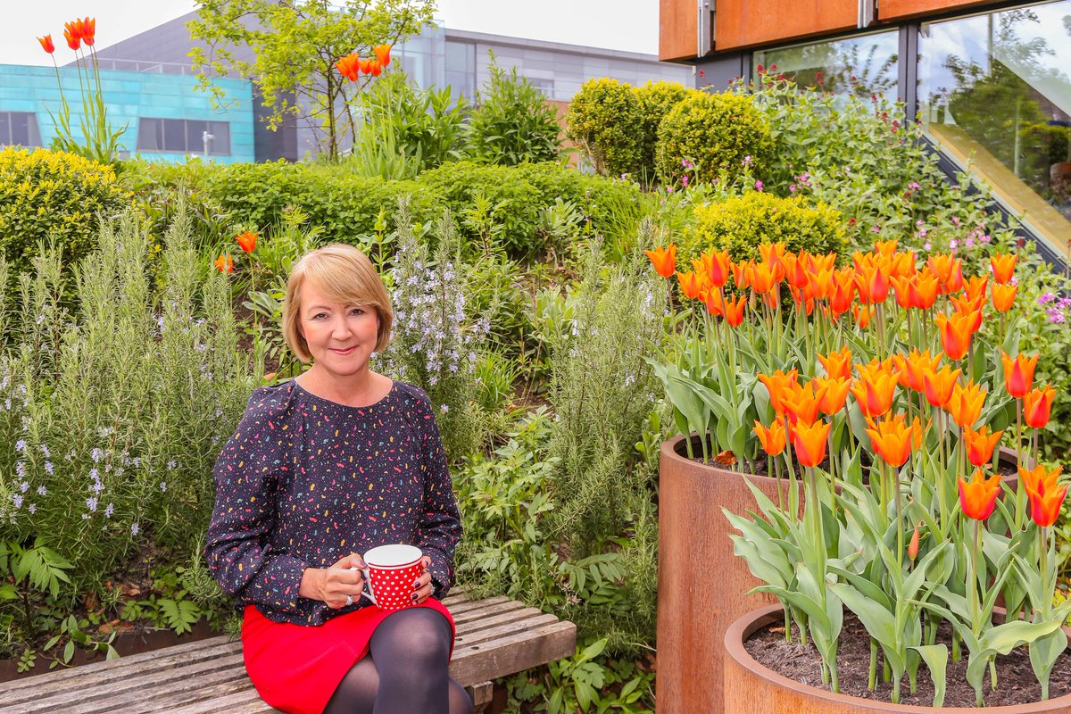 Sir Bobby Robson Foundation tweet media