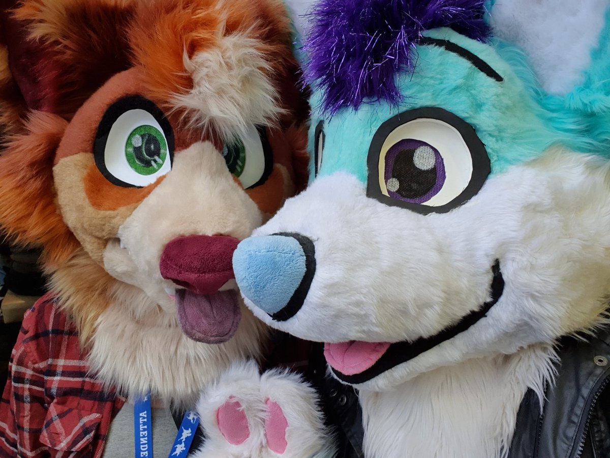 Ikas_Wolf's tweet photo. Meeting lots of cutie floofs here at Scotiacon 2026, many more photos taken that'll go up in my latest video when it is completed ☺️❤️ https://t.co/jYp5BunjxF