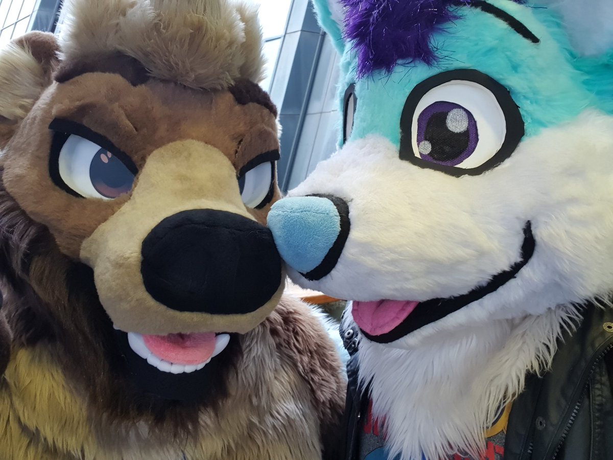 Ikas_Wolf's tweet photo. Meeting lots of cutie floofs here at Scotiacon 2026, many more photos taken that'll go up in my latest video when it is completed ☺️❤️ https://t.co/jYp5BunjxF