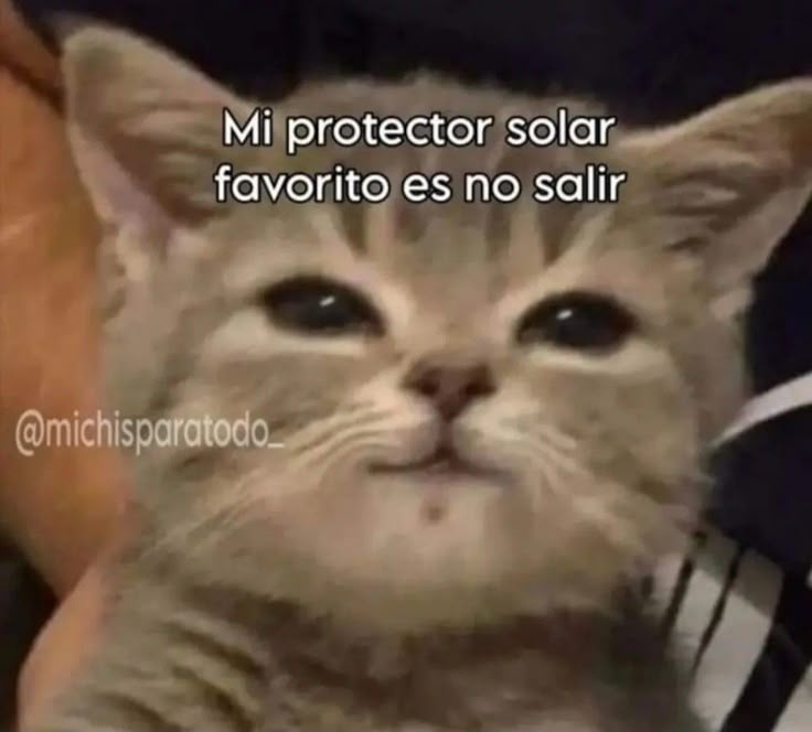 Lo recomiendo 👍🏻