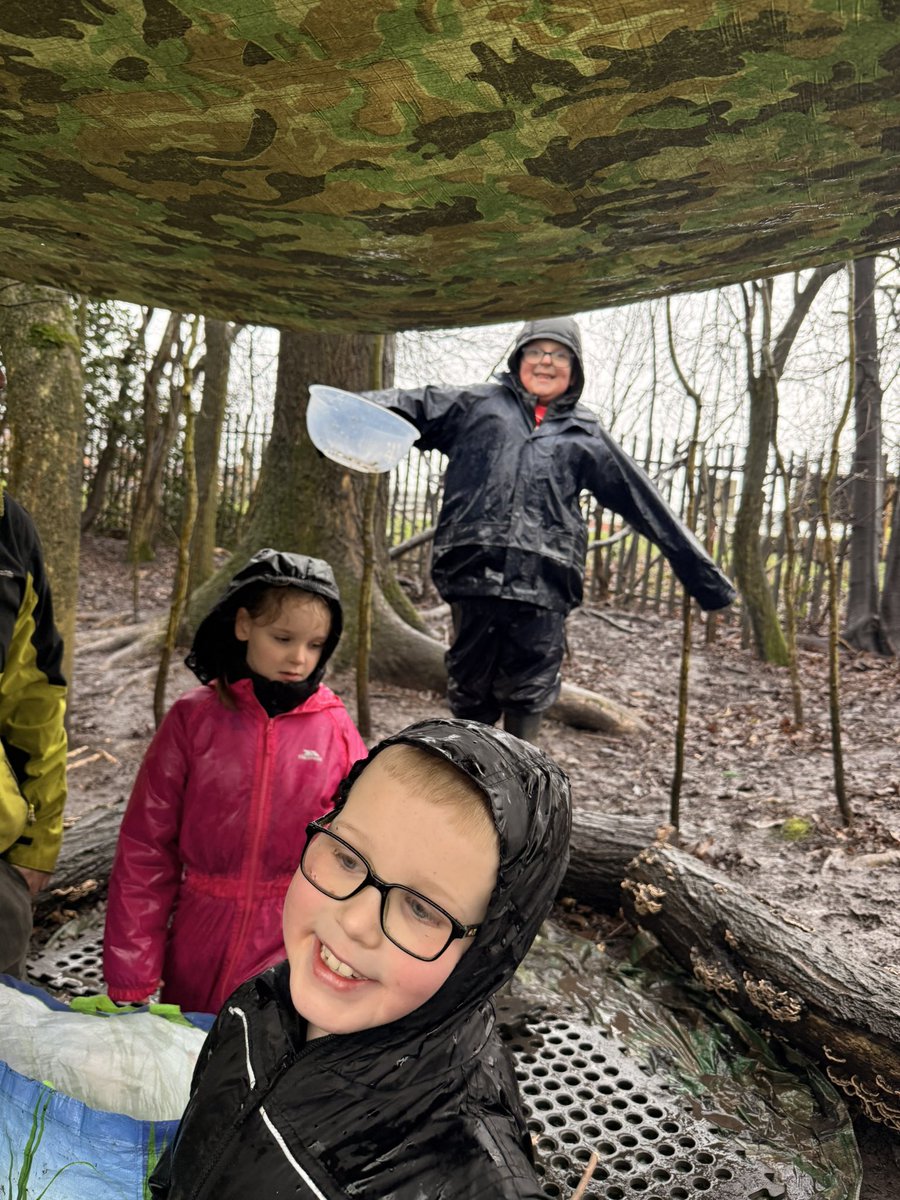 Miss Cohen tweet media