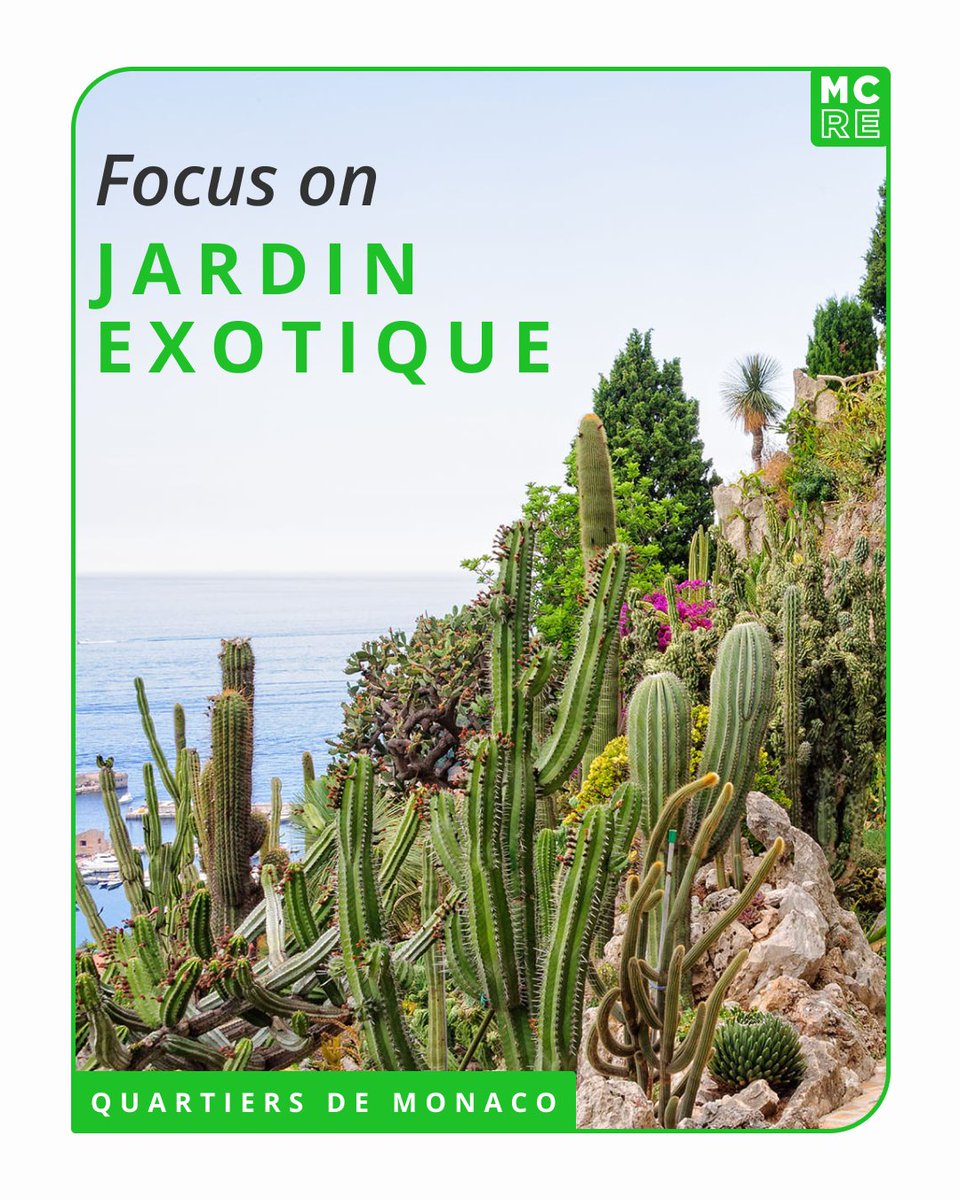 Jardin Exotique : vues panoramiques sur Monaco et la mer, atmosphère résidentielle calme et biens plus spacieux à des prix compétitifs.

Découvrez le quartier sur Monte Carlo Real Estate 👉 montecarlo-realestate.com/quartiers/mona…