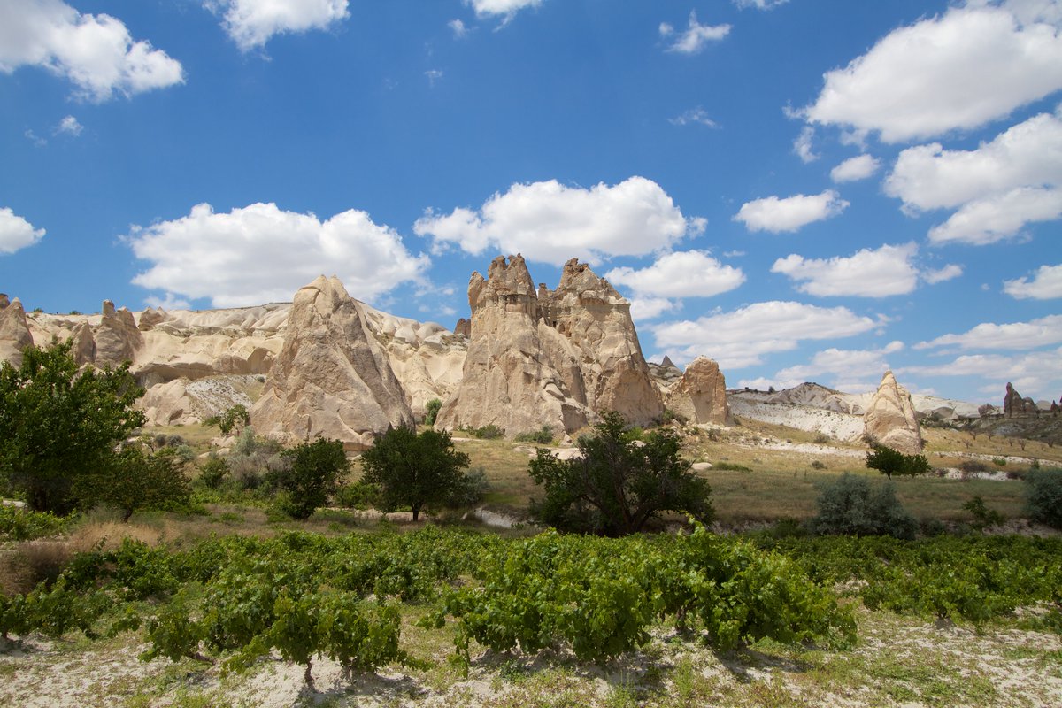 Easy one this week, who recognises this?