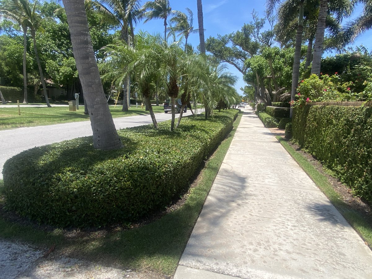 Boca Beacon: Weekly Newspaper of Boca Grande tweet media