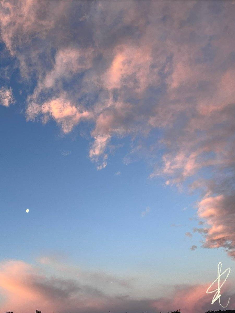 Qué buen día para pasearse con el Falcon y observar cómo se han ejecutado  las órdenes.