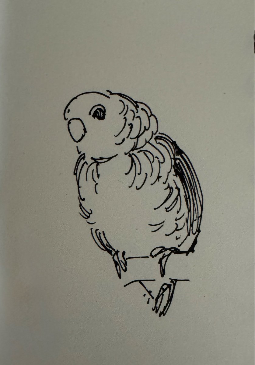この度、公式トリバサダーに就任致しました。
大阪展閉幕まで鳥のツイートが増えると思いま・・・いや、元々ほとんど鳥の話しかしてなかったわ。
よろしくお願いします! 