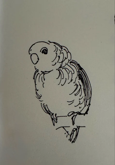 この度、公式トリバサダーに就任致しました。
大阪展閉幕まで鳥のツイートが増えると思いま・・・いや、元々ほとんど鳥の話しかしてなかったわ。
よろしくお願いします! 