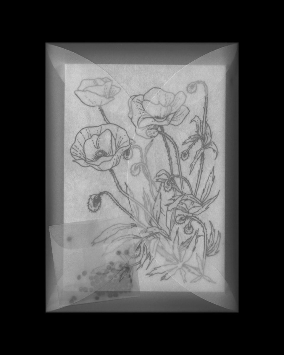 FALLOUTAMY tweet media