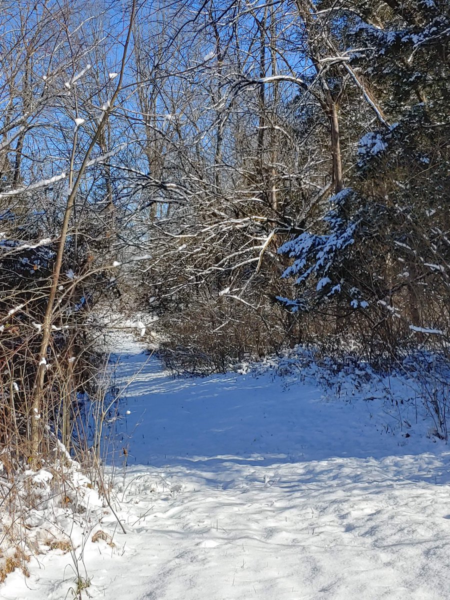 Louisville Air Pollution Control tweet media