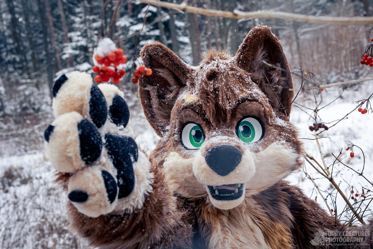 Takeru Kamachi tweet media