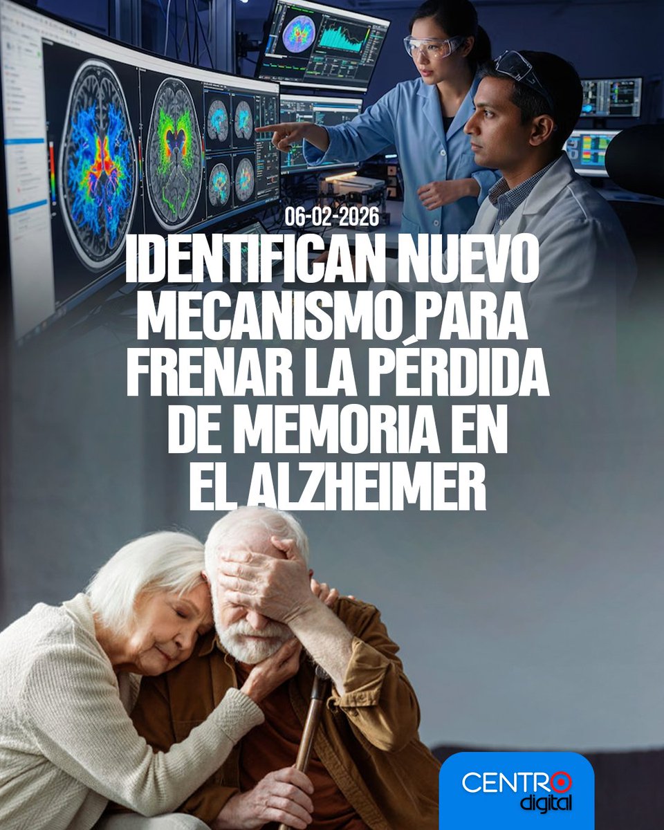 #SALUD | Científicos de EE.  UU. descubren un mecanismo que podría frenar la pérdida de memoria en el Alzheimer: inhibir una proteína ayuda a eliminar las placas cerebrales dañinas. 

Los  detalles➡️ instagram.com/p/DUbAWleFYLm/…