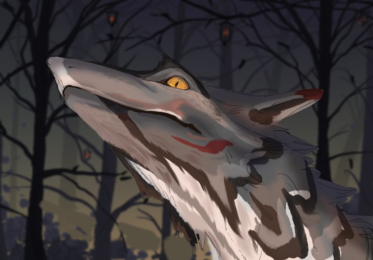 alpineheart_ tweet media