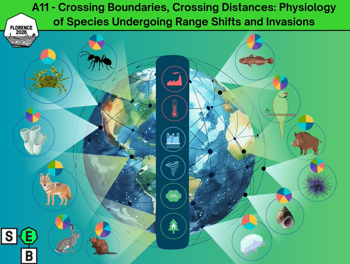 Carolina Madeira tweet media