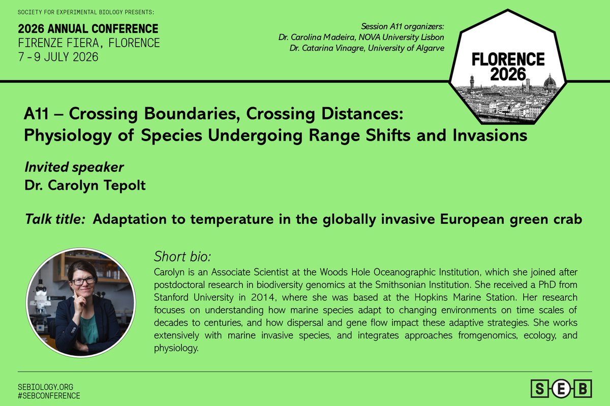 Carolina Madeira tweet media