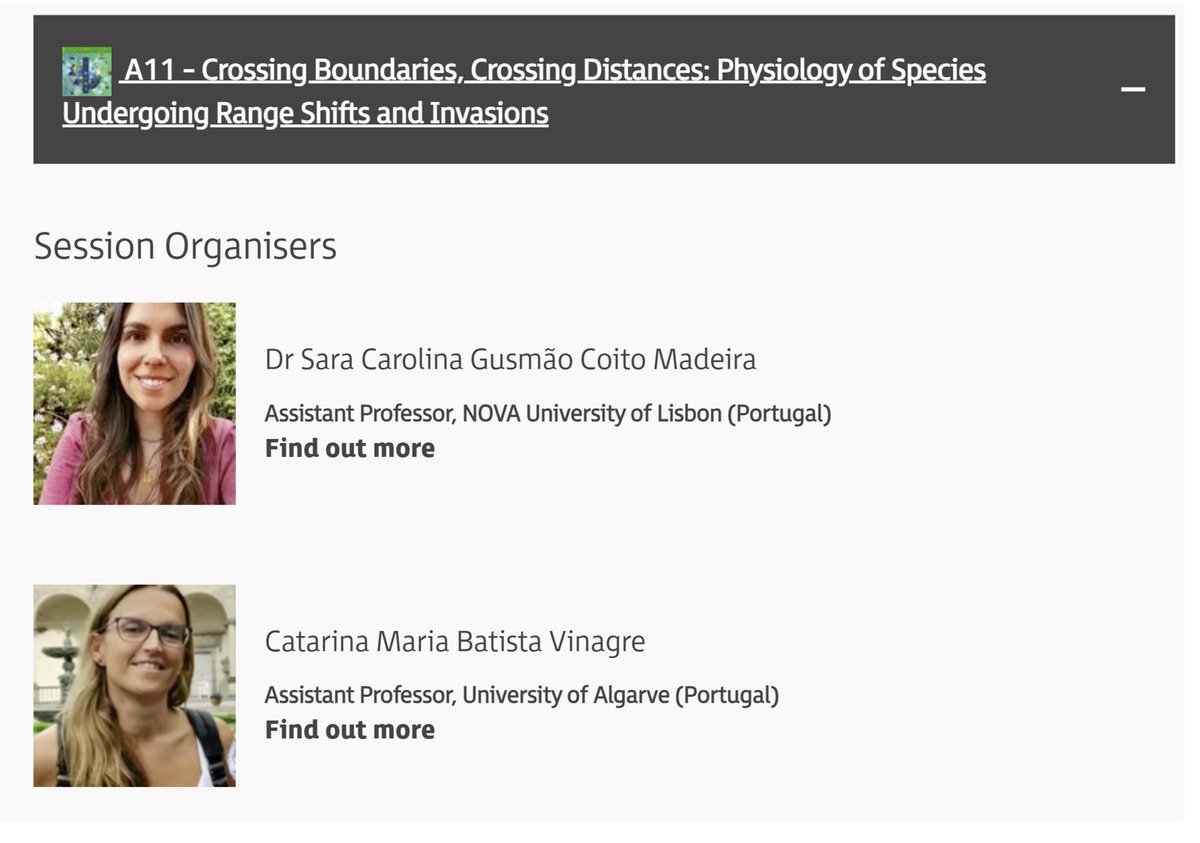 Carolina Madeira tweet media