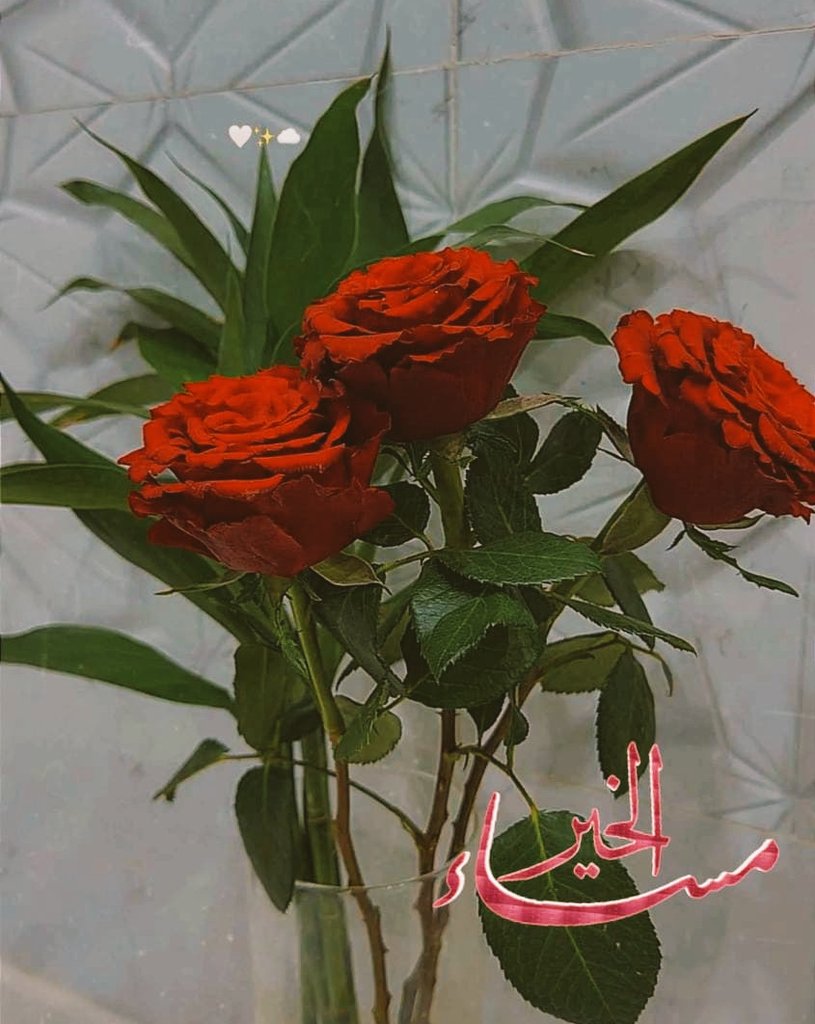 #الجيش_السلماني
#المجموعة_الدعويه
#عطر_التغريدات
#الكلم_الطيب
#ورد_Gp
#رفقه_في_ظل_عرش_الرحمن
 اللهم قدرا جميلا وخبرا جميلا ودعوة مستجابه. وأجعلنا من الذين نالو ماتمنوا اللهم أرحم من فقدته العين وفقده المكان وفقده القلب كثيرا ! ❣اللهم أرحم موتانا وموتا المسلمين جميعاً يارب