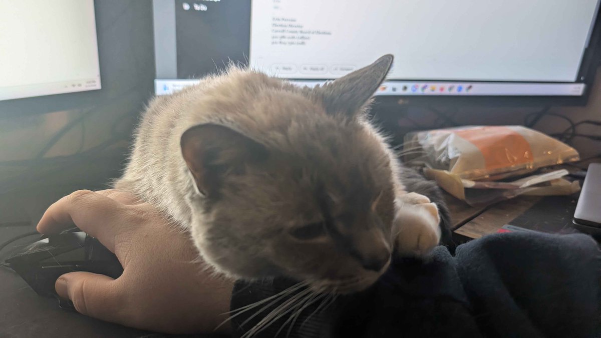 How dare I not pay attention to her 24 hours a day.
