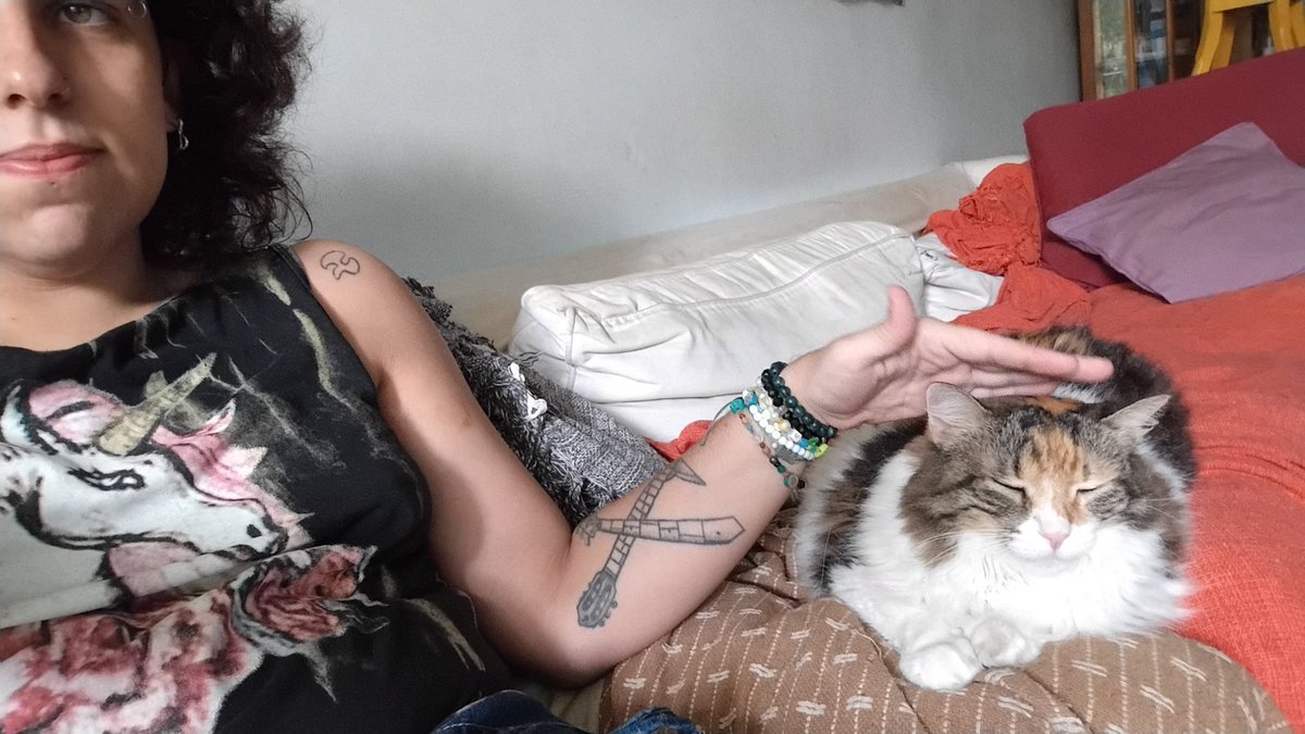 Bolchemimi's tweet photo. #catpost https://t.co/frf2hPof3h