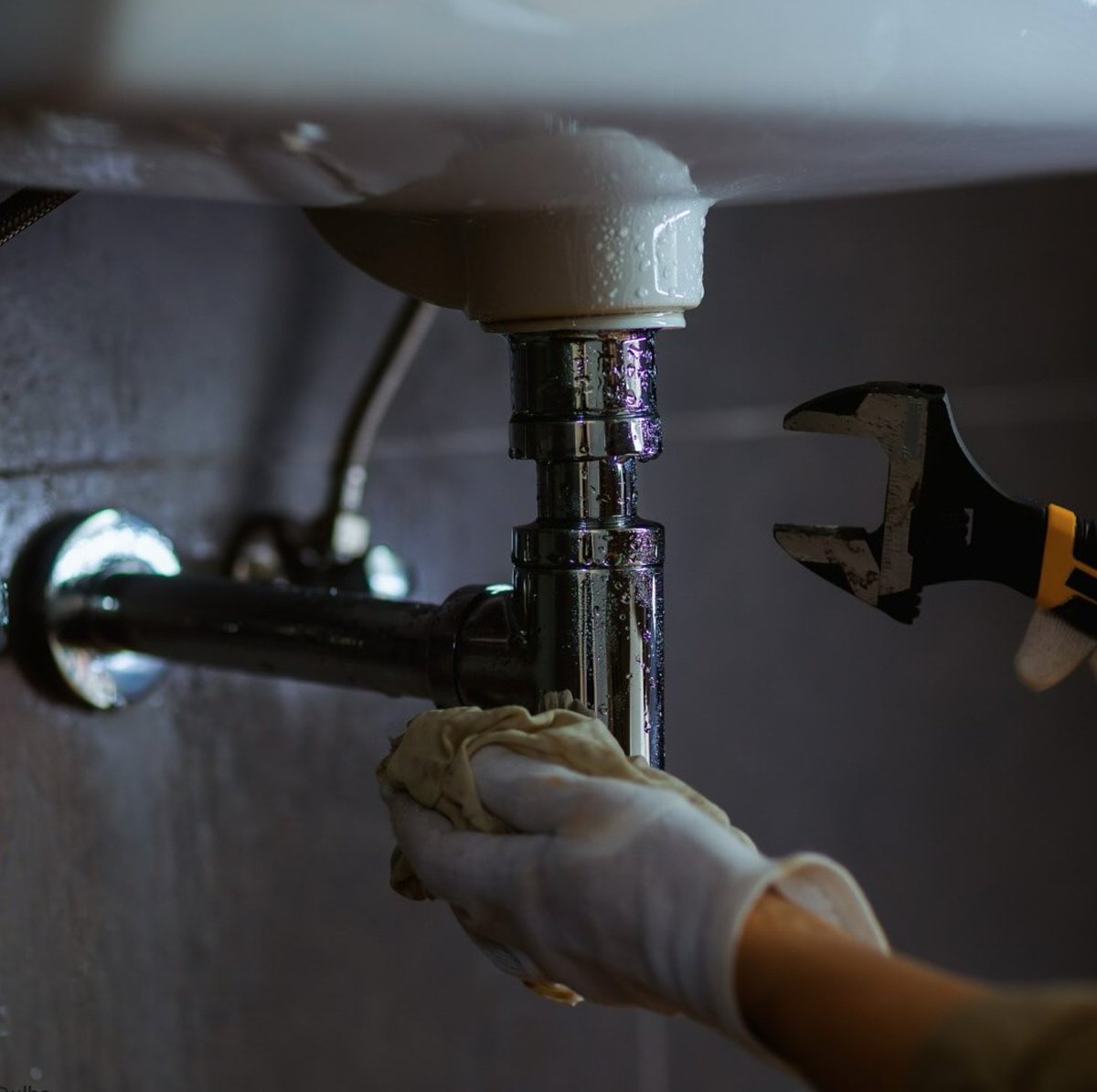 UoL Housing Services tweet media