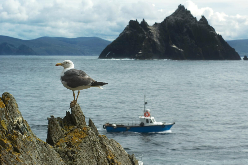 The Skellig Experience Visitor Centre tweet media