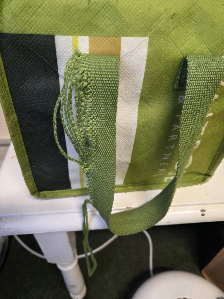 Milliemoo!! tweet media