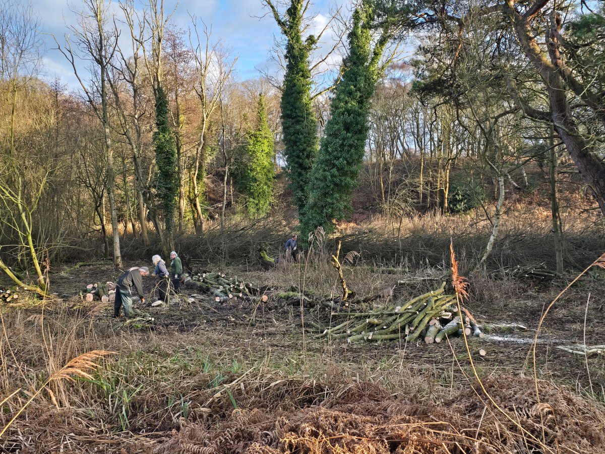 Ipswich golf club ecology page tweet media