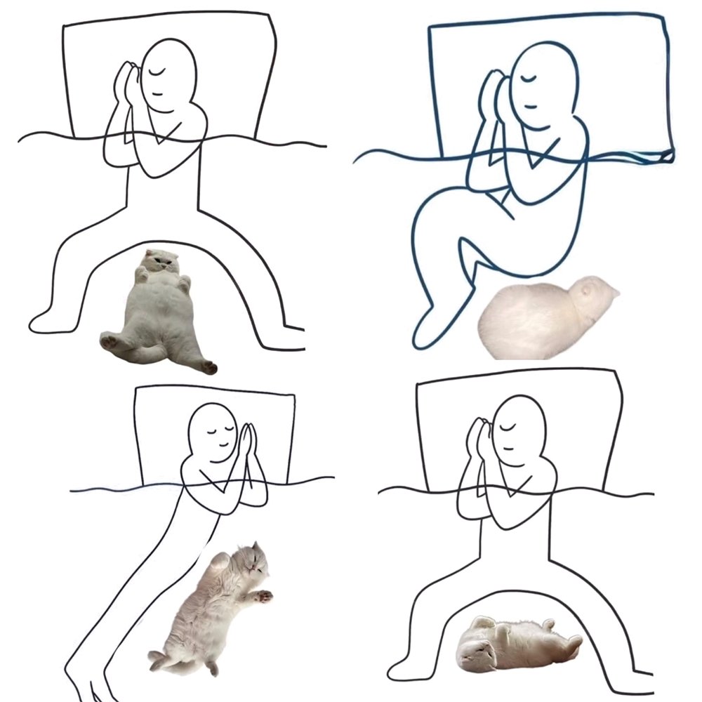 고양이 집사들의 겨울밤