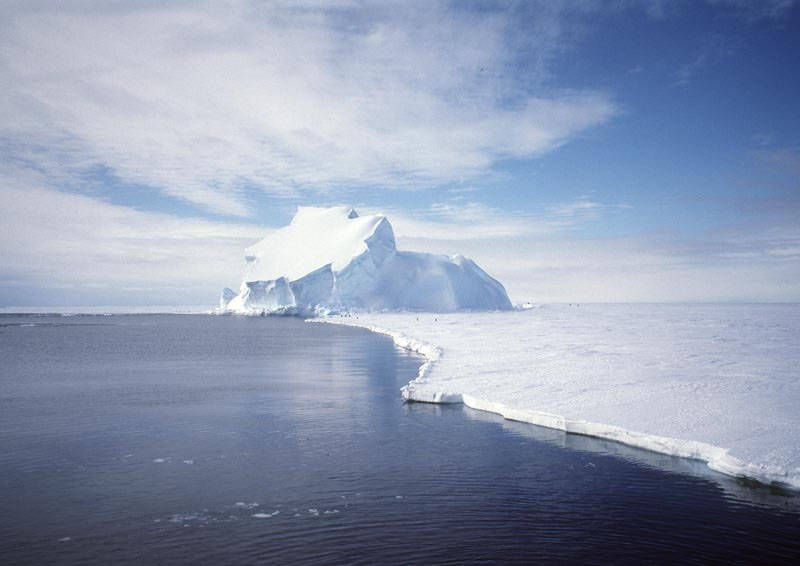 treemissions's tweet photo. Ever think about this? Antarctica's ice sheet holds 90% of the world's ice and 70% of its fresh water. If it all melted, sea levels would rise by about 60 meters! ๐โ๏ธ #ClimateFact #SaveOurPlanet https://t.co/xwu9EbENi3