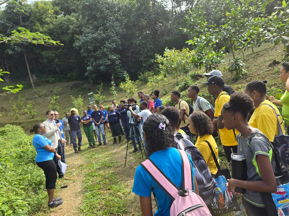 SeyBluefloat tweet media