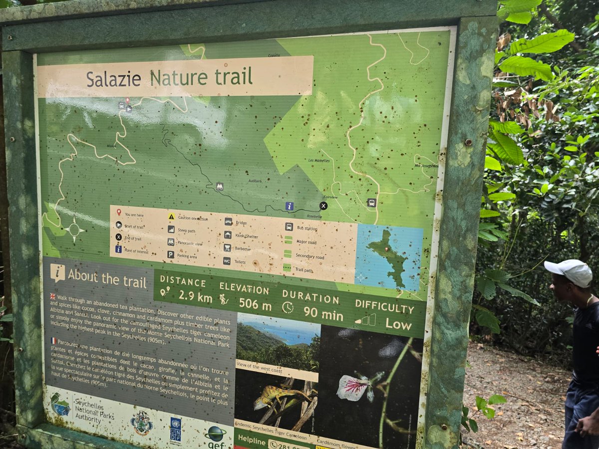 SeyBluefloat tweet media