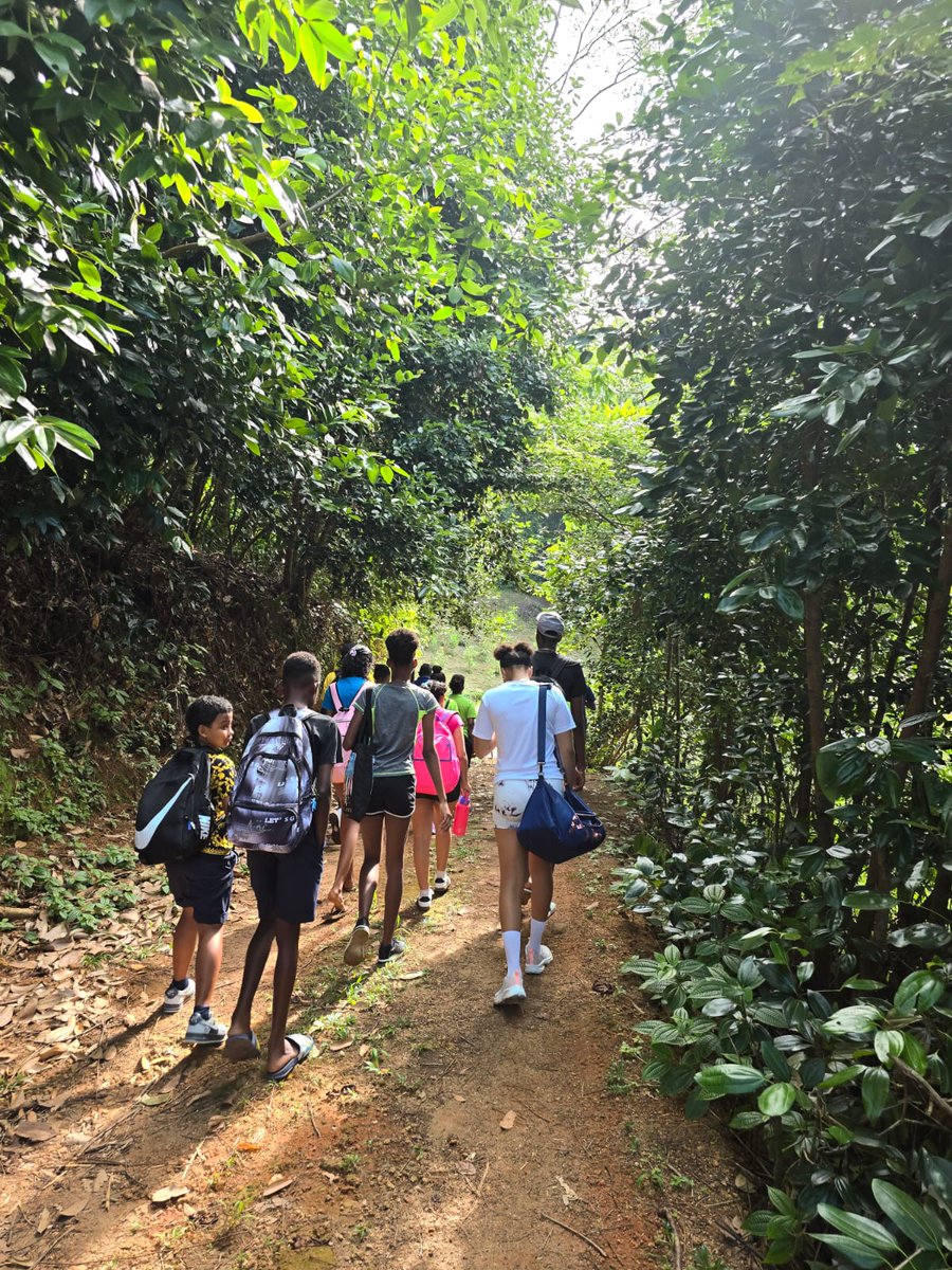 SeyBluefloat tweet media