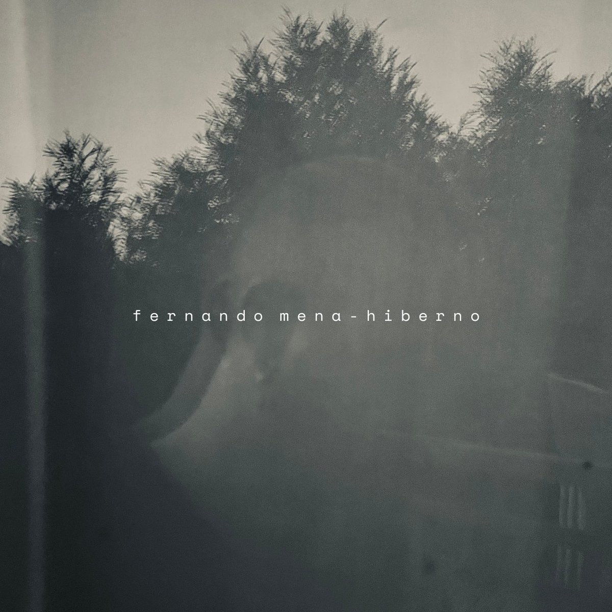 Fernando Mena tweet media