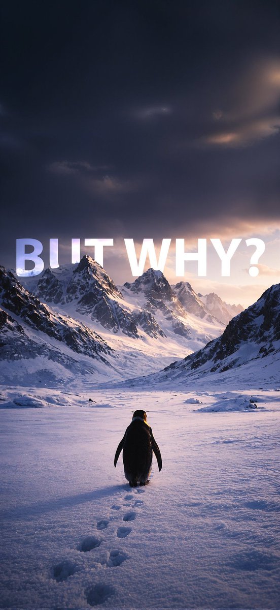 Solana Sam tweet media