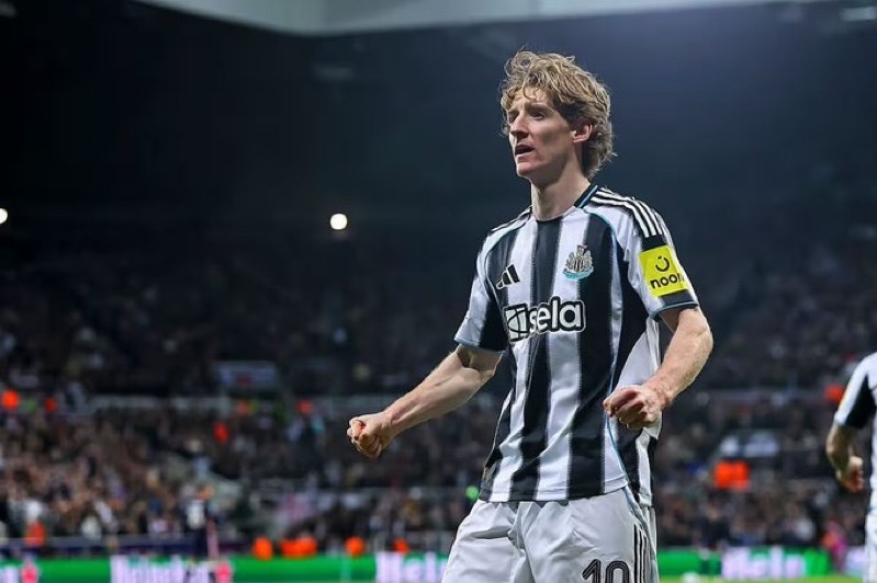 SimplyUtd tweet media