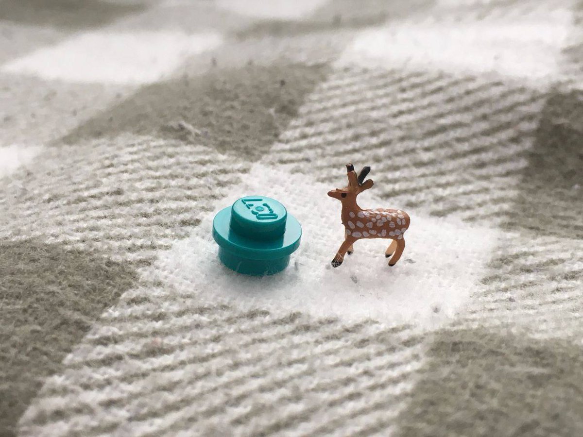 “hello world! i’m one stud tall!”