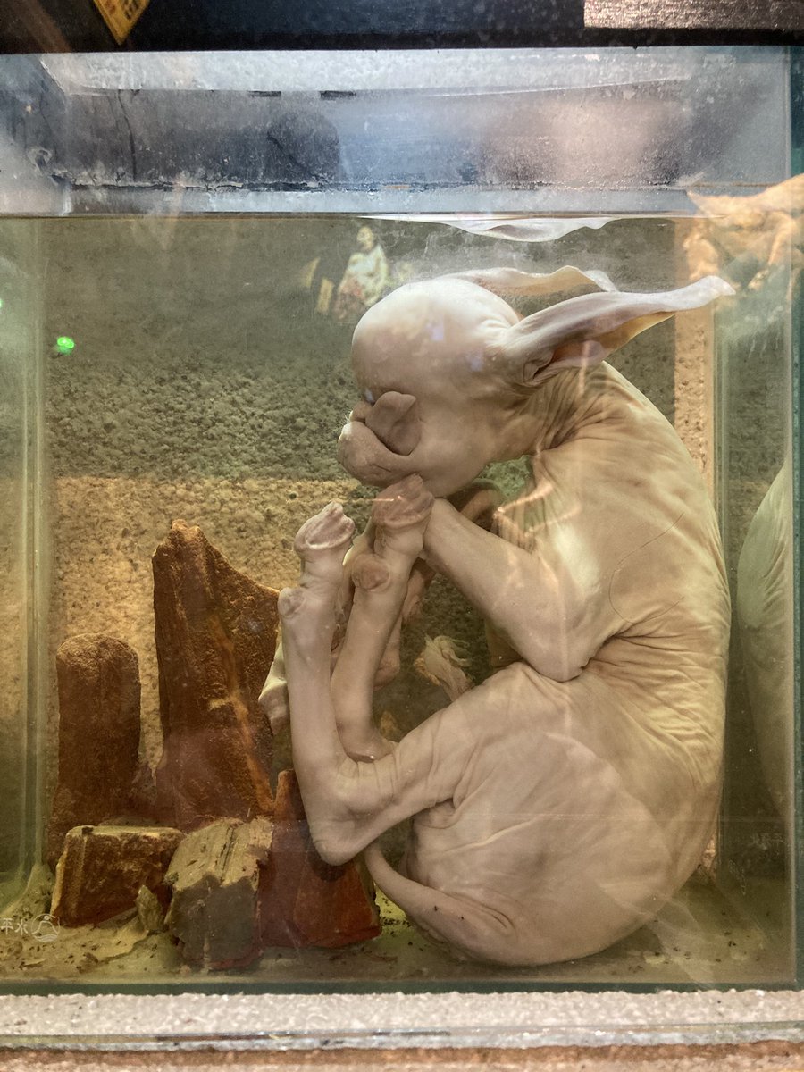 りさページ 久しぶりに行ったらバージョンアップしてただ