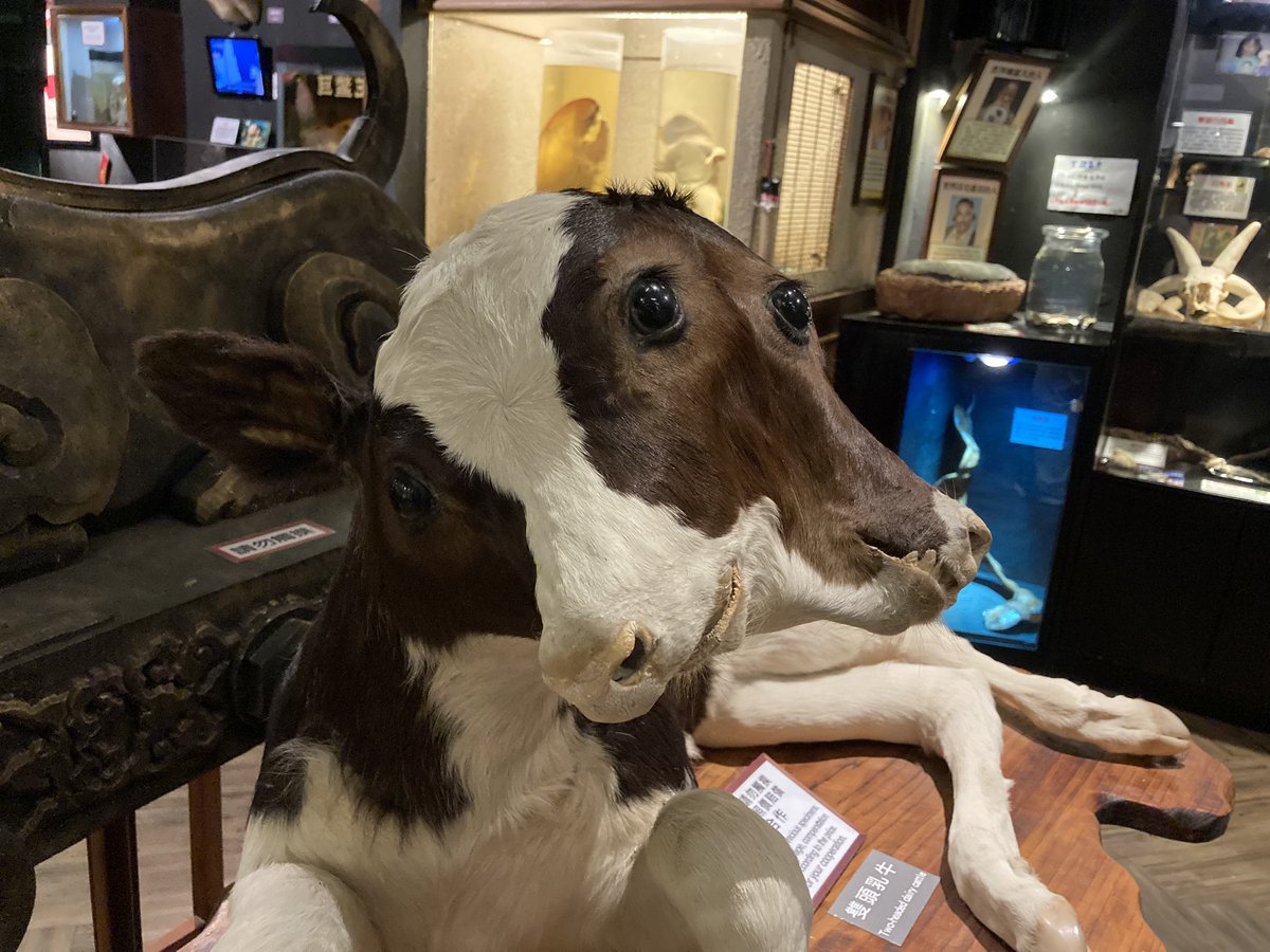 りさページ 久しぶりに行ったらバージョンアップしてただ