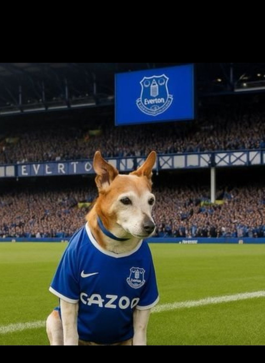 Blue 1878 tweet media