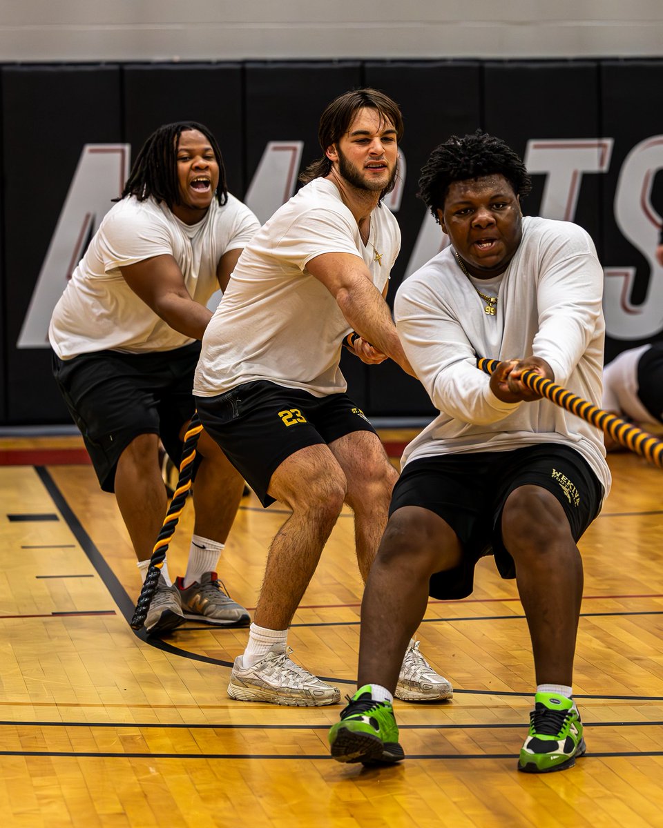 Anna Maria College Athletics tweet media