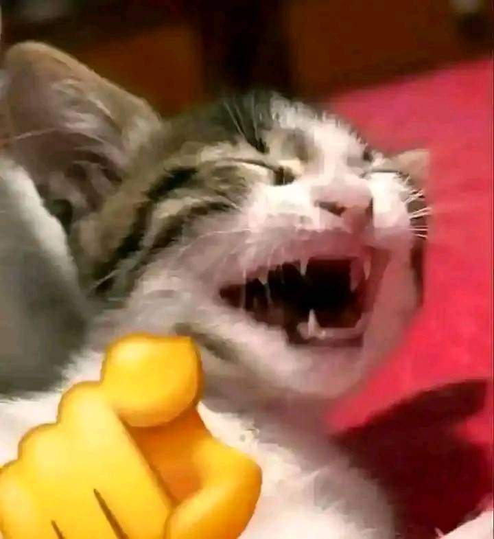 kaga bisa turu buka nya x, di scroll aja terus sampe pagi